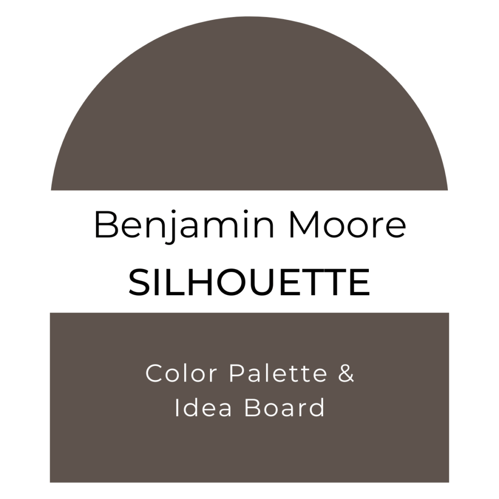 Silhouette Color Palette & Idea Board
