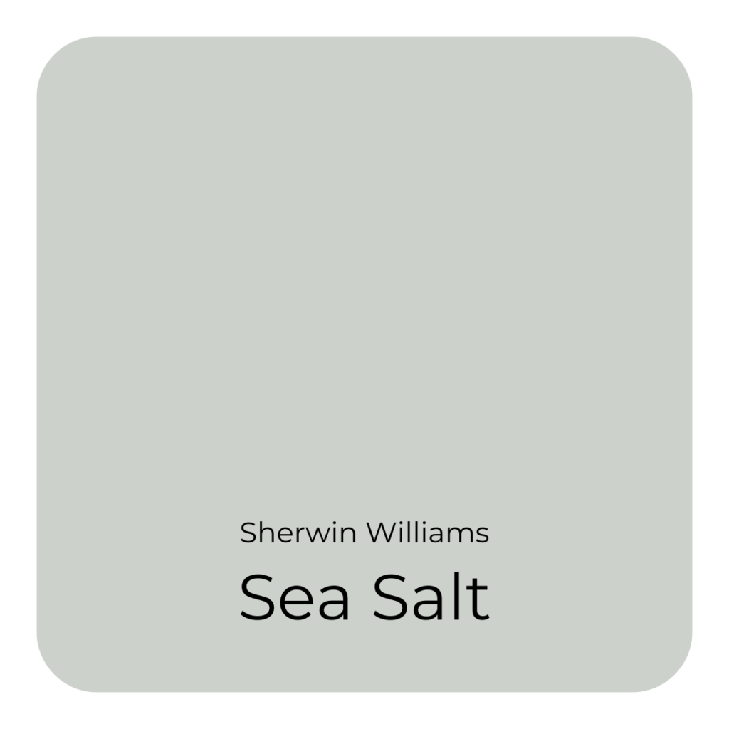 Sea Salt Sherwin Williams Color Swatch