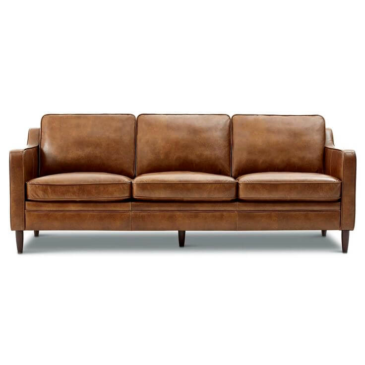 leather sofa